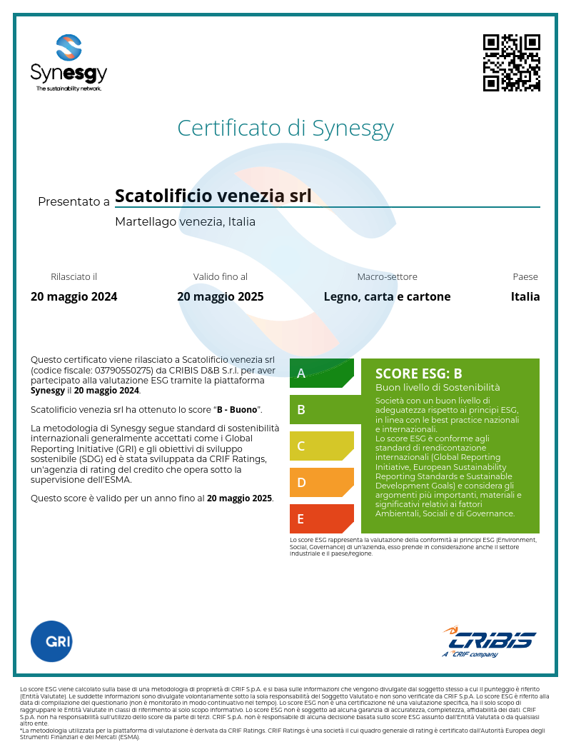 image Certificazione Synesgy 2024 attestante lo score di riferimento nella sostenibilità della nostra azienda (3456)