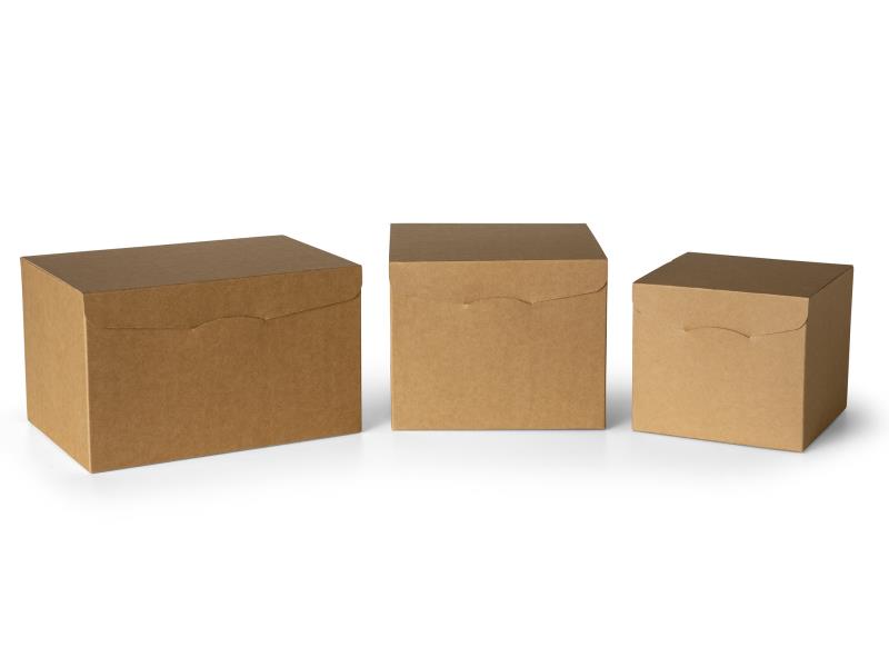 image Scatole per panettone e focacce (1439)